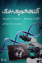 آرزوی کوچک و بزرگ