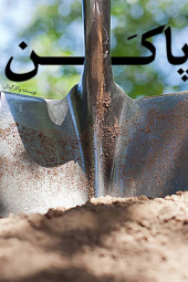 به تو از دور (پاکن)