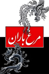 مرغ باران